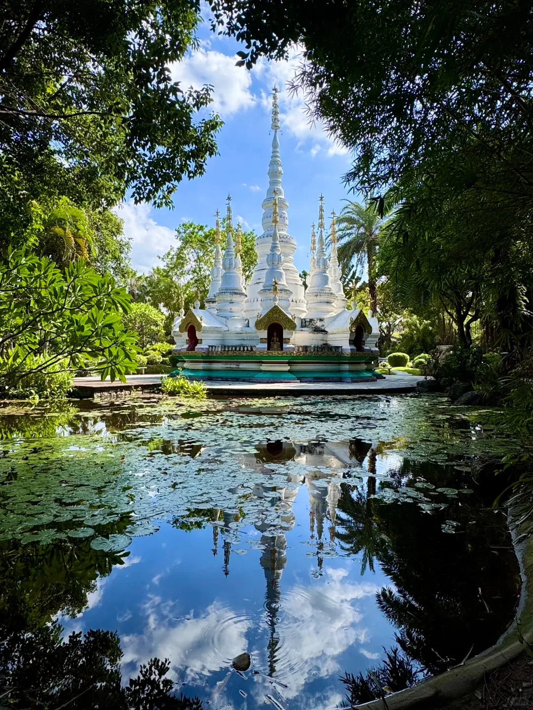 ec8facd65e7d1aa2c362043aaa685d49-sz_3600298