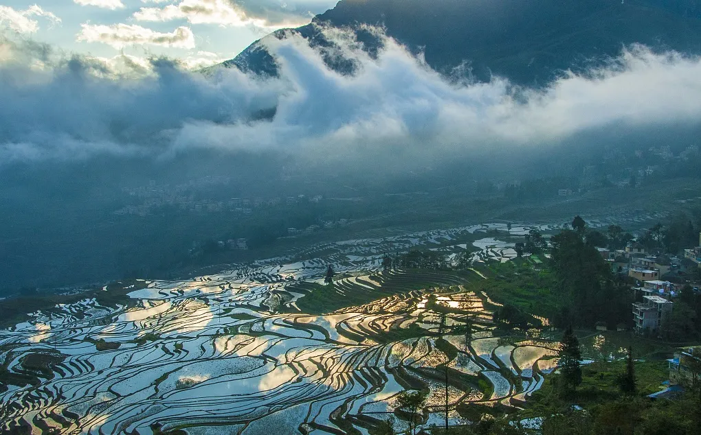 ecaca1344bd6b4134ab339d455f8a0d5-sz_303220