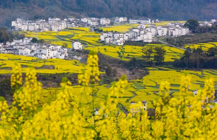 ecc2e9527bbaaf1f8b6d0e82410ef440-sz_1386917