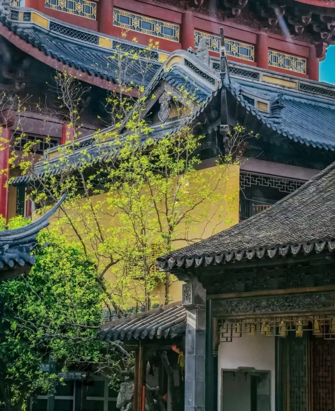 ecc455525d1b253ba5da0815df99aa51-sz_1592759