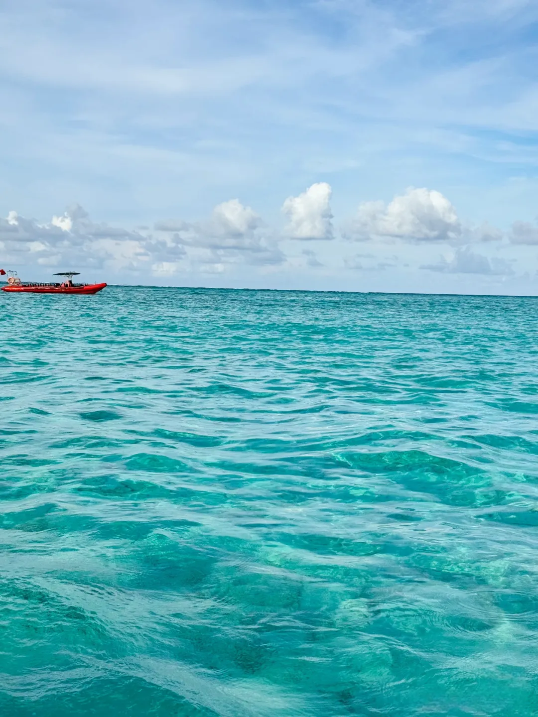 ecd09708ee14acc1dd4a0dc4454aeec9-sz_3649101-1