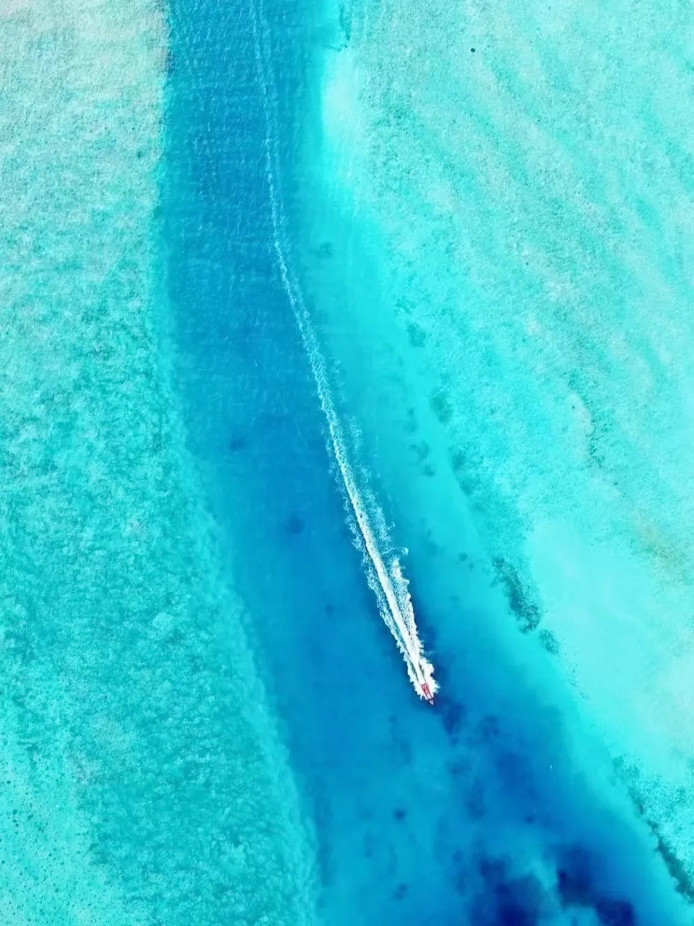 ed001a9a2d50b5a136bf6f53ca6653e9-sz_2082389-1