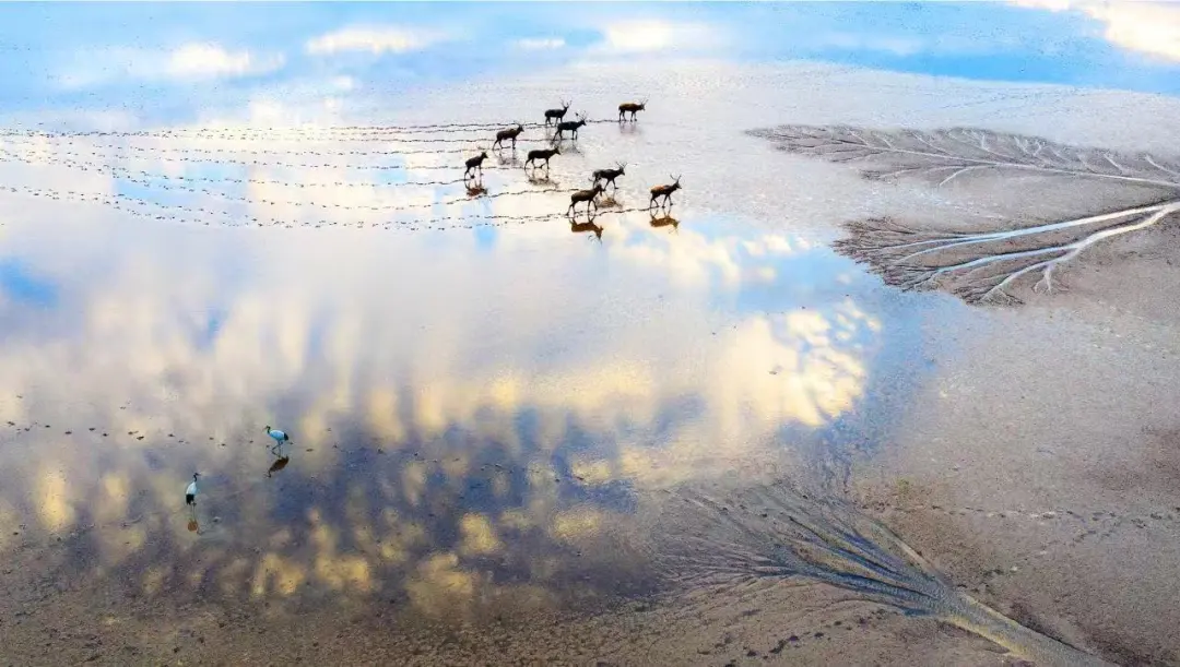 ed06bb0bd0636c5c4ce59d0338dcf44f-sz_161627