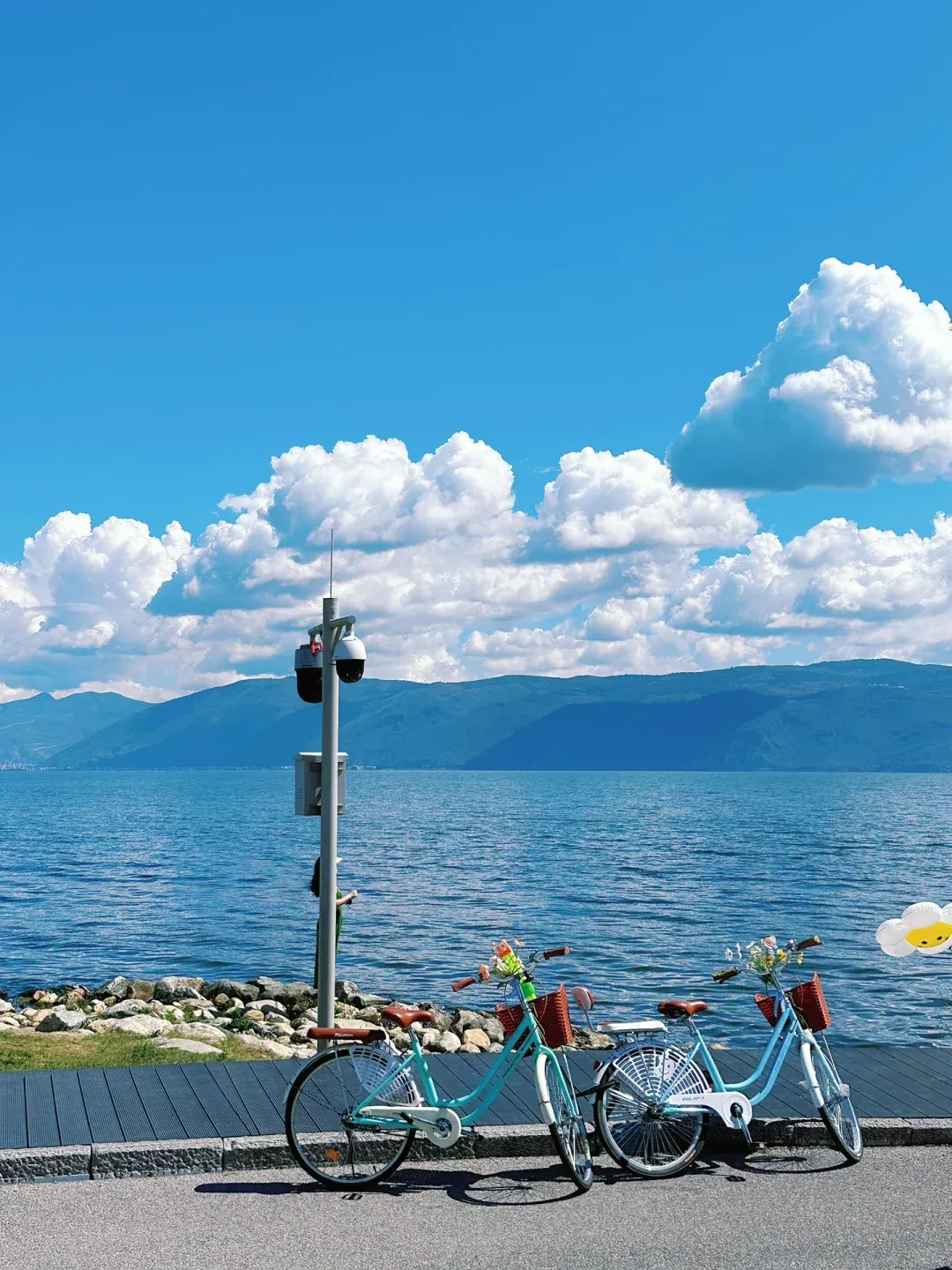 ed3bad17b3a2d9fd7bfbf9567e127156-sz_2389213