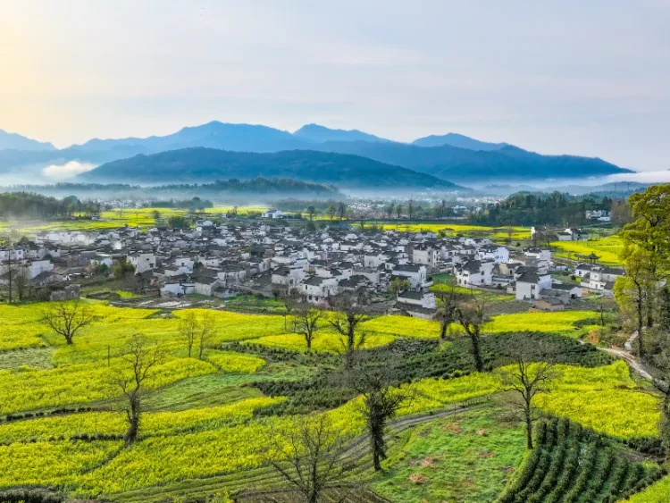 ed62649040f7761fb18e50d4630db6bd-sz_1166728