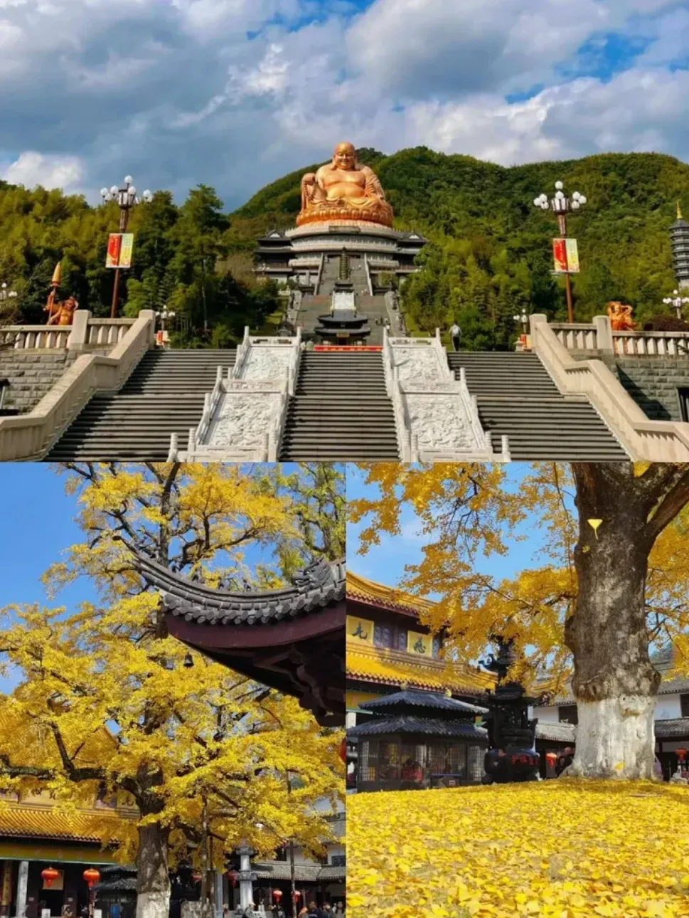 ed695f489c3042e97bdd4b2281721c5d-sz_2274063