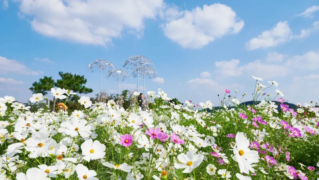 ed735a139f975b275abea3765ed95111-sz_1248064