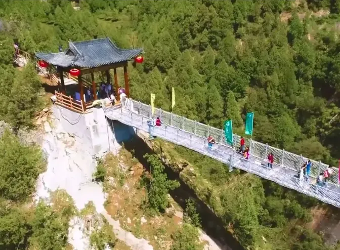 ed7bf88480482a67ff39330fd76f02d2-sz_704745