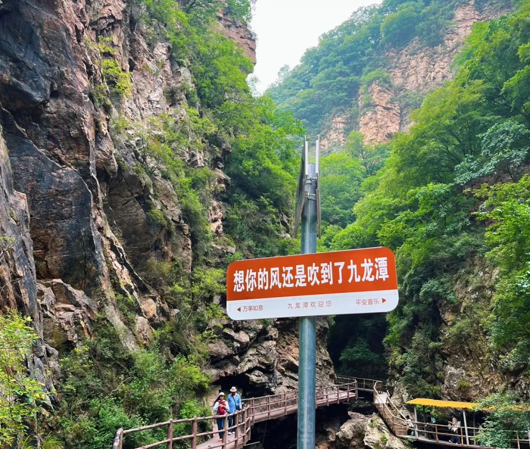 edc9c5f6f30f9530a7f1078d028b105f-sz_2211555