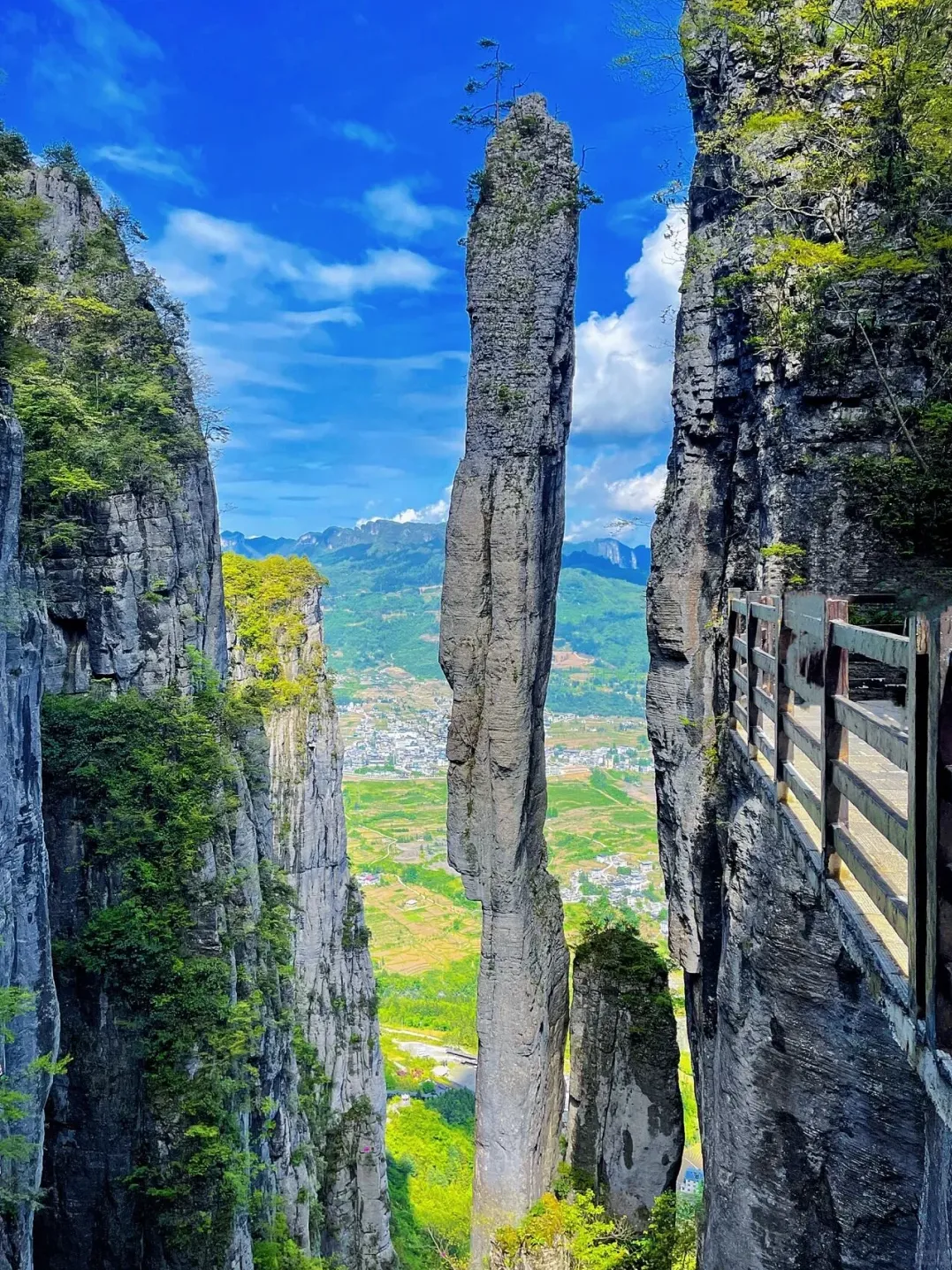 edfcf06d0ae3c0b25ed7d0390598ad25-sz_4003703