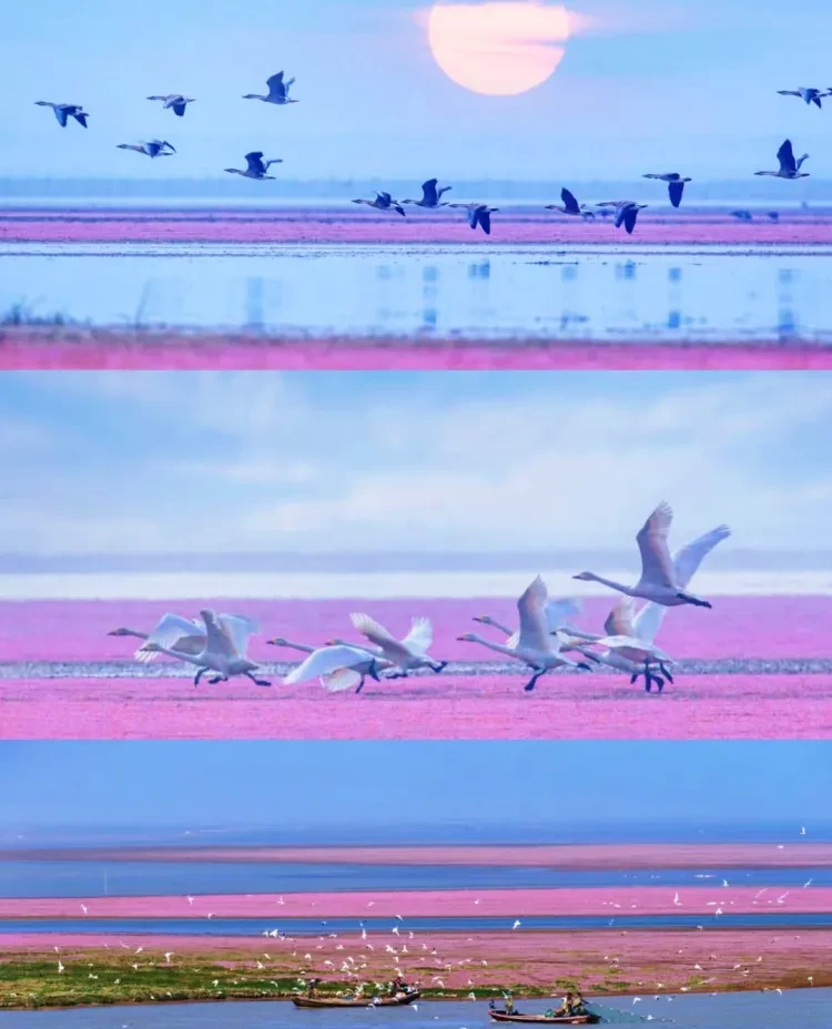 ee07506f65fe4fa1fa64550624630237-sz_1644981