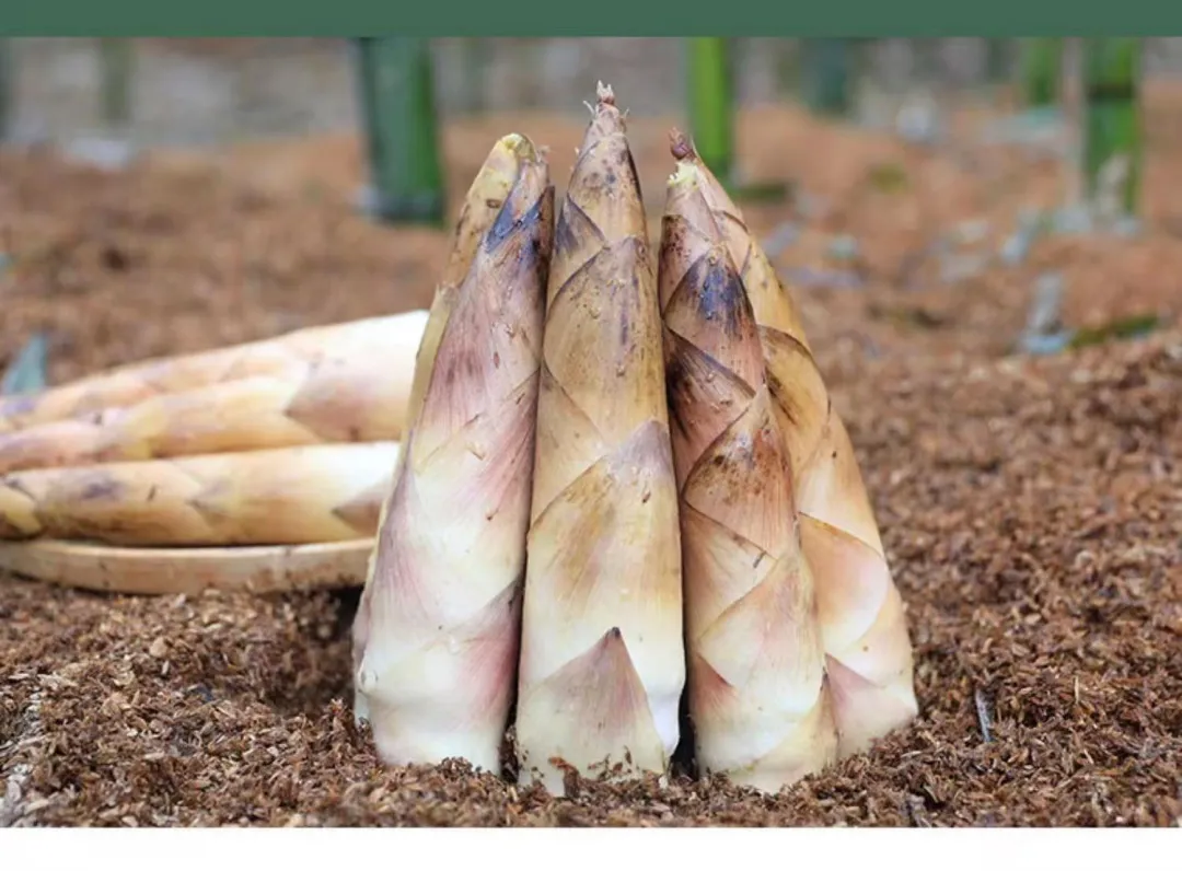 ee3bb8943071f5ee6492b4ec46220781-sz_1935512