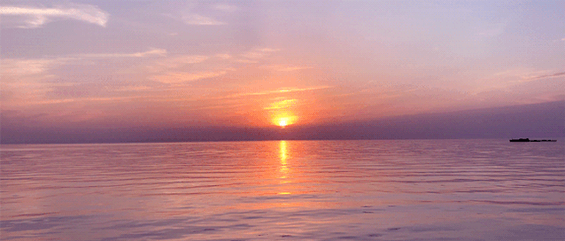 ee67aa154d771e4a9762c17cca68caa4-sz_1518825