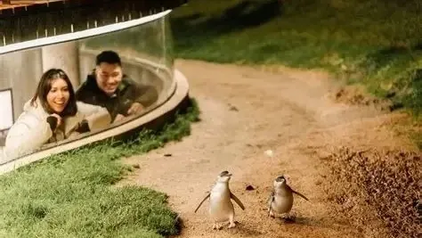 ee758a8223425a9d85fd10f5516226ac-sz_60565