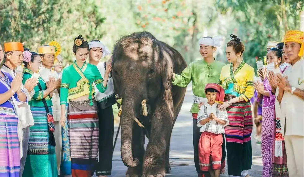 ee76e2822bff650e874d73e6e2bd7c70-sz_495673