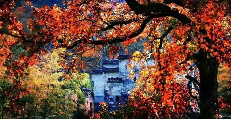 ee9edf56718b96f27cbbbf5905c6760a-sz_218731 ee9edf56718b96f27cbbbf5905c6760a-sz_218731