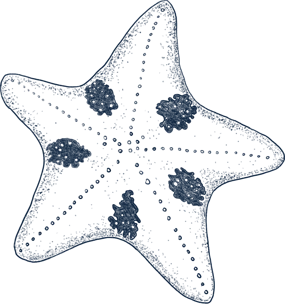 eed2c2d2bd5222f02ff5fc8042344e54_sz-602711