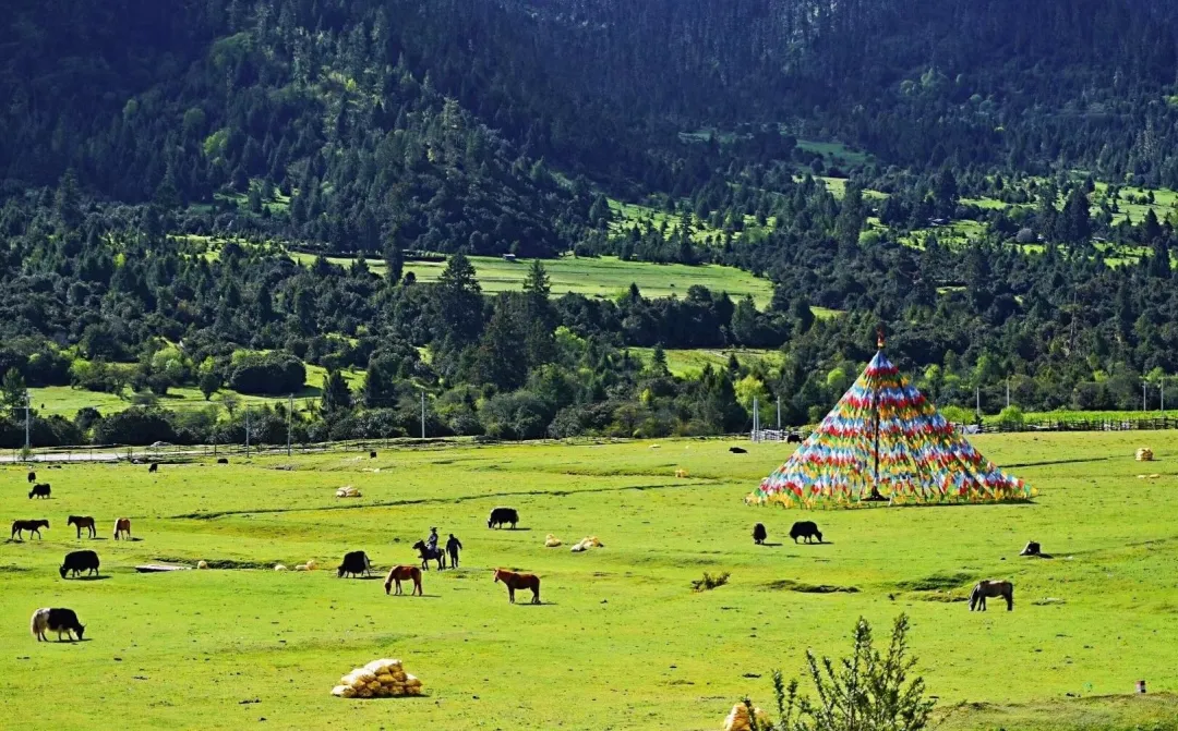 eee02d3598793165bf1a5d8cb396c4cc-sz_432513