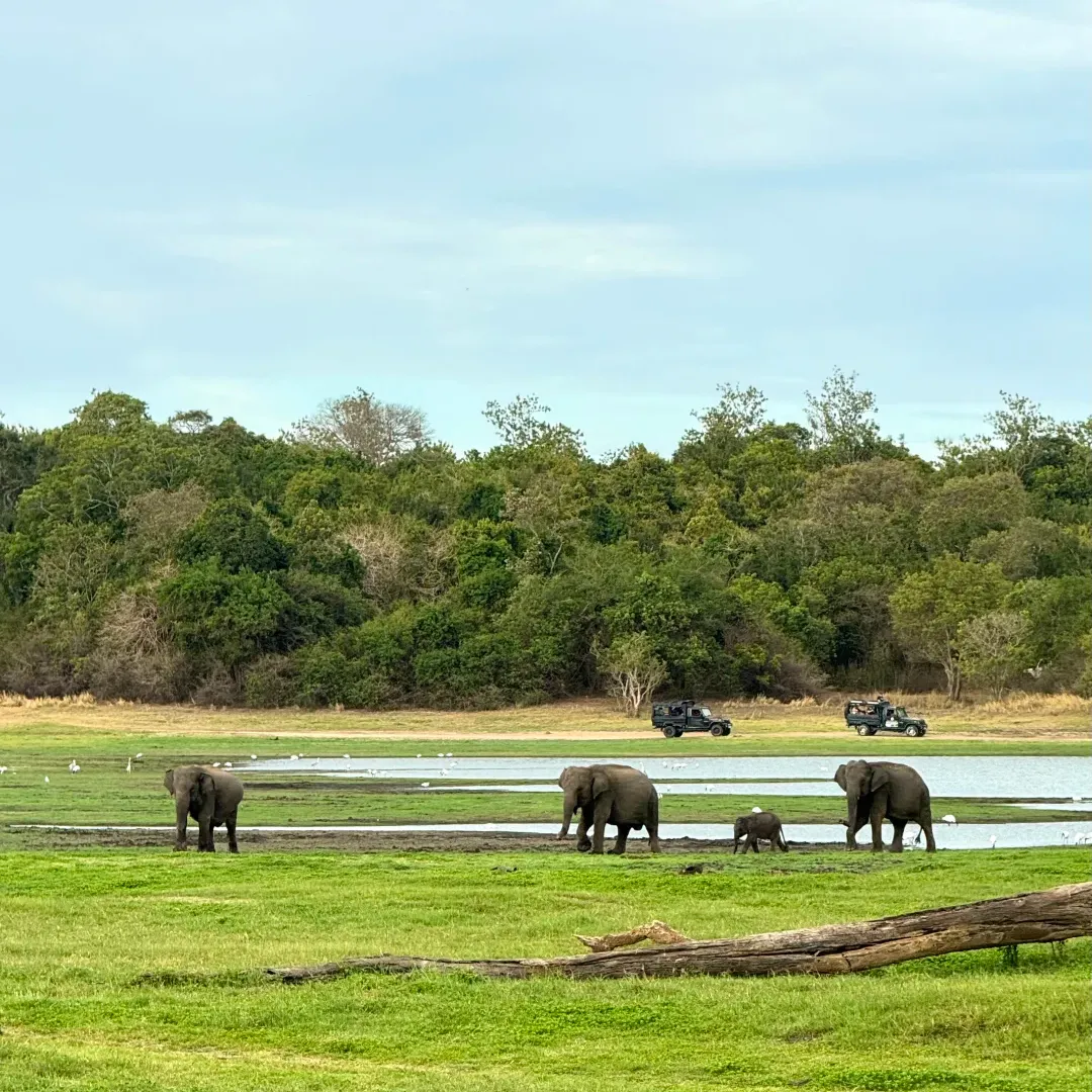 eeead70324e54a95a7f5f9b243060df3-sz_2044517