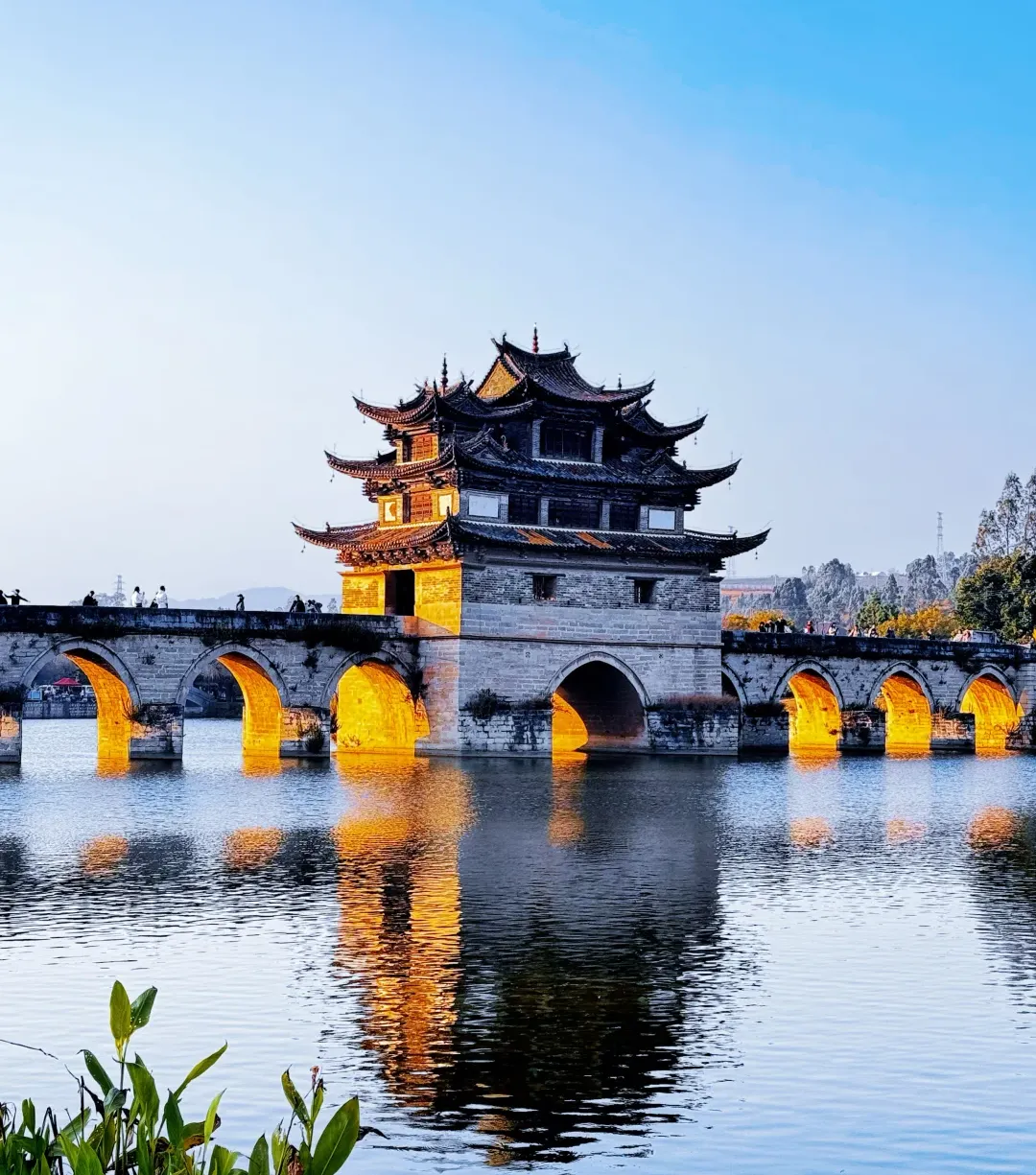 ef15bbc12cd01acaee54a4a78dbdc31b-sz_2469797-1