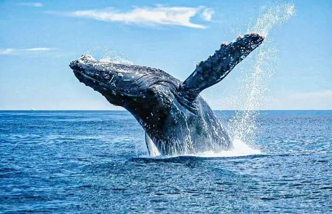 ef4d5ebc259b68c1e18def7c5d2b0f01-sz_577054