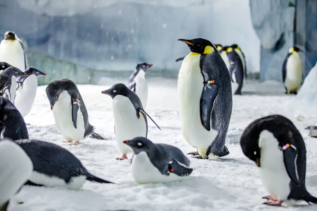 ef69f7acdbde4af19ecab4de268f124d-sz_800477