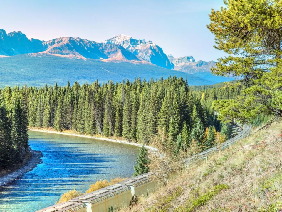 ef7122c74707e285133faf4c241db0a1-sz_517353-1