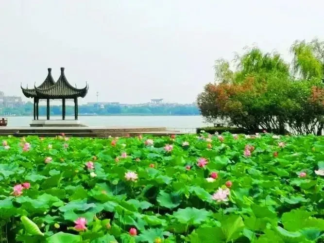 ef9b525a6c825c96c435133ad8116c10-sz_65142