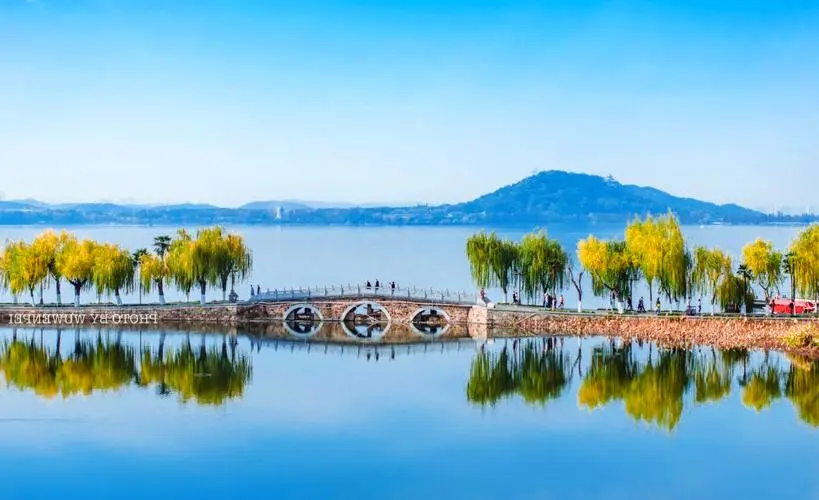 eff345b846bcc45082aec34141542d2b-sz_53547