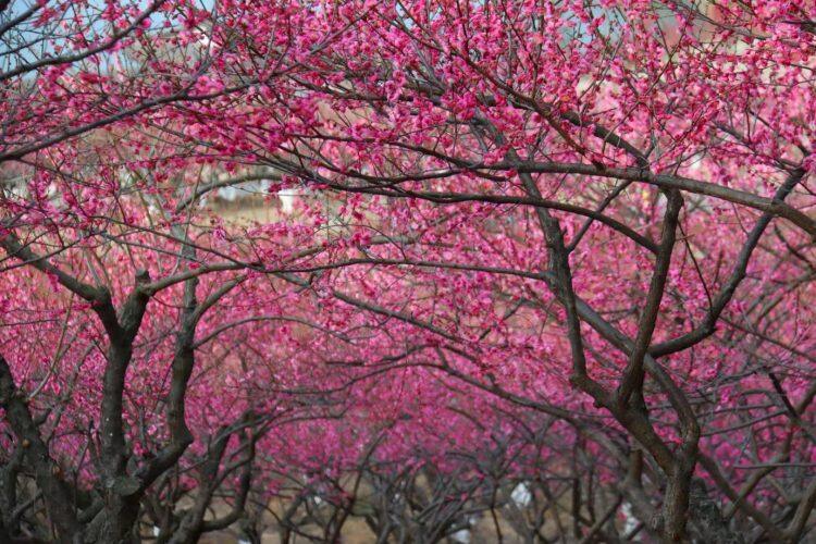 ekOd-tXP9CxCpBvXvAlxx2zeUxmMFN0I