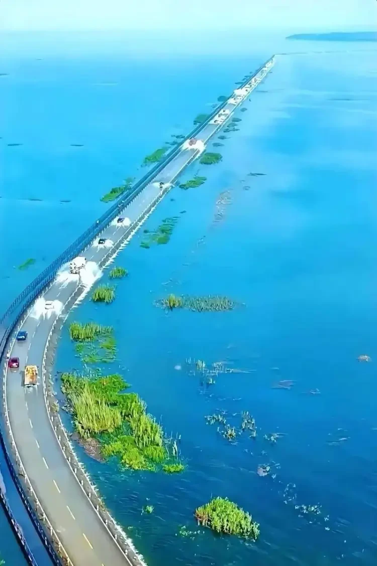 f01df859f60fca4f70c2877c17a3711c-sz_94631