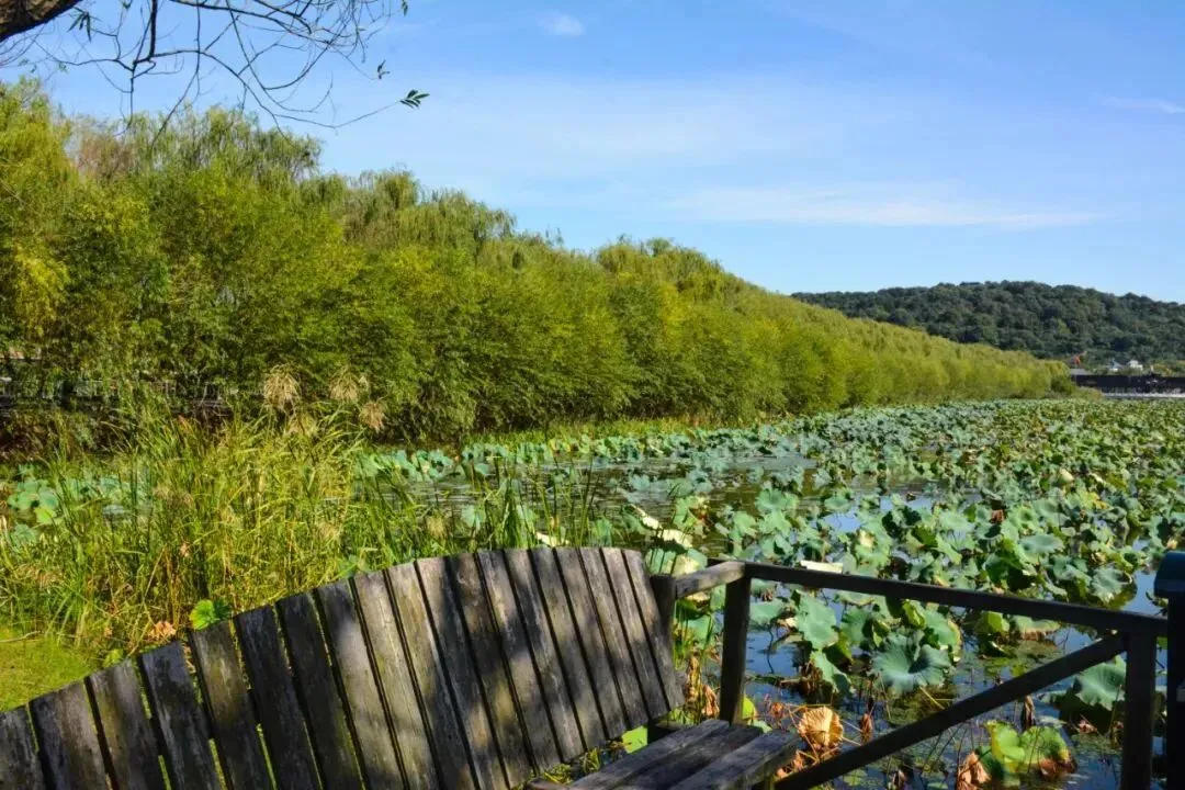 f02431d29f1658674816cbe9134e6e43-sz_176368