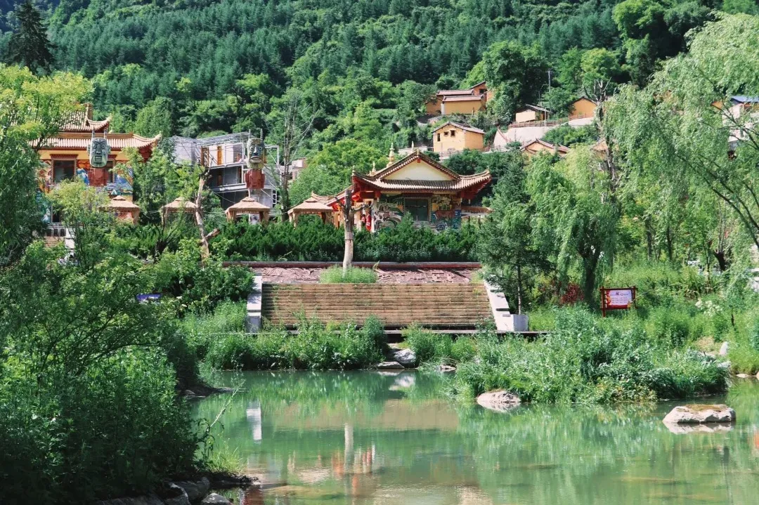 f0293e9c3b5a55a01c048dc79136c77a-sz_606353