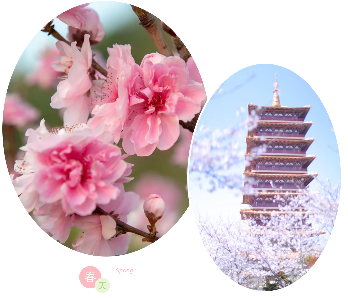 f02bab30f6e0e039f4a62922844fd637