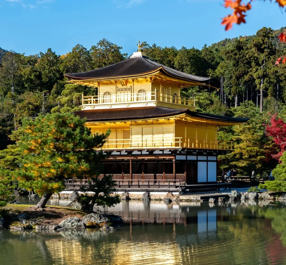 f06465f69da4fae6ba335b4cc07d9993-sz_599370 f06465f69da4fae6ba335b4cc07d9993-sz_599370