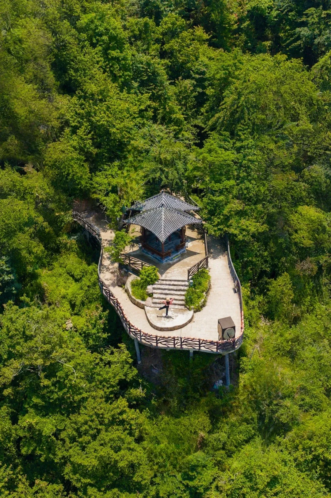 f07aee7969205d95417837c224ae9d18-sz_3921373