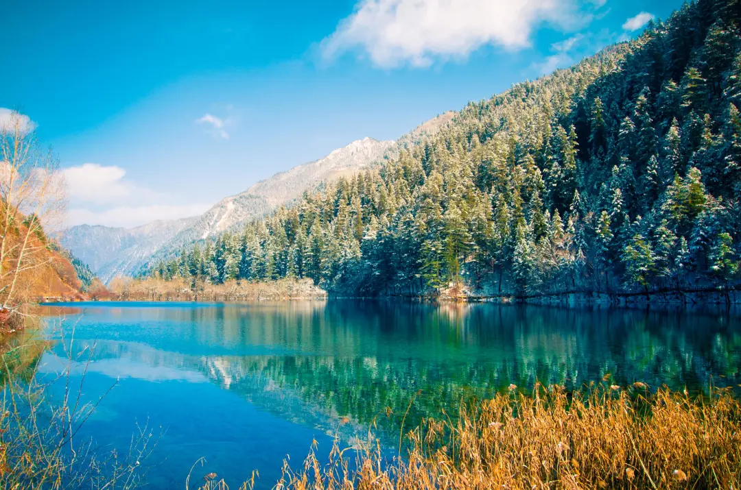 f0a5f637e1f94bdcf1b4f17da489ae91-sz_1274480 f0a5f637e1f94bdcf1b4f17da489ae91-sz_1274480