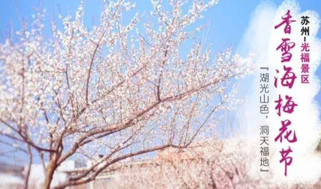 f0a72061bcb9b96341378bdd96416292-sz_454108