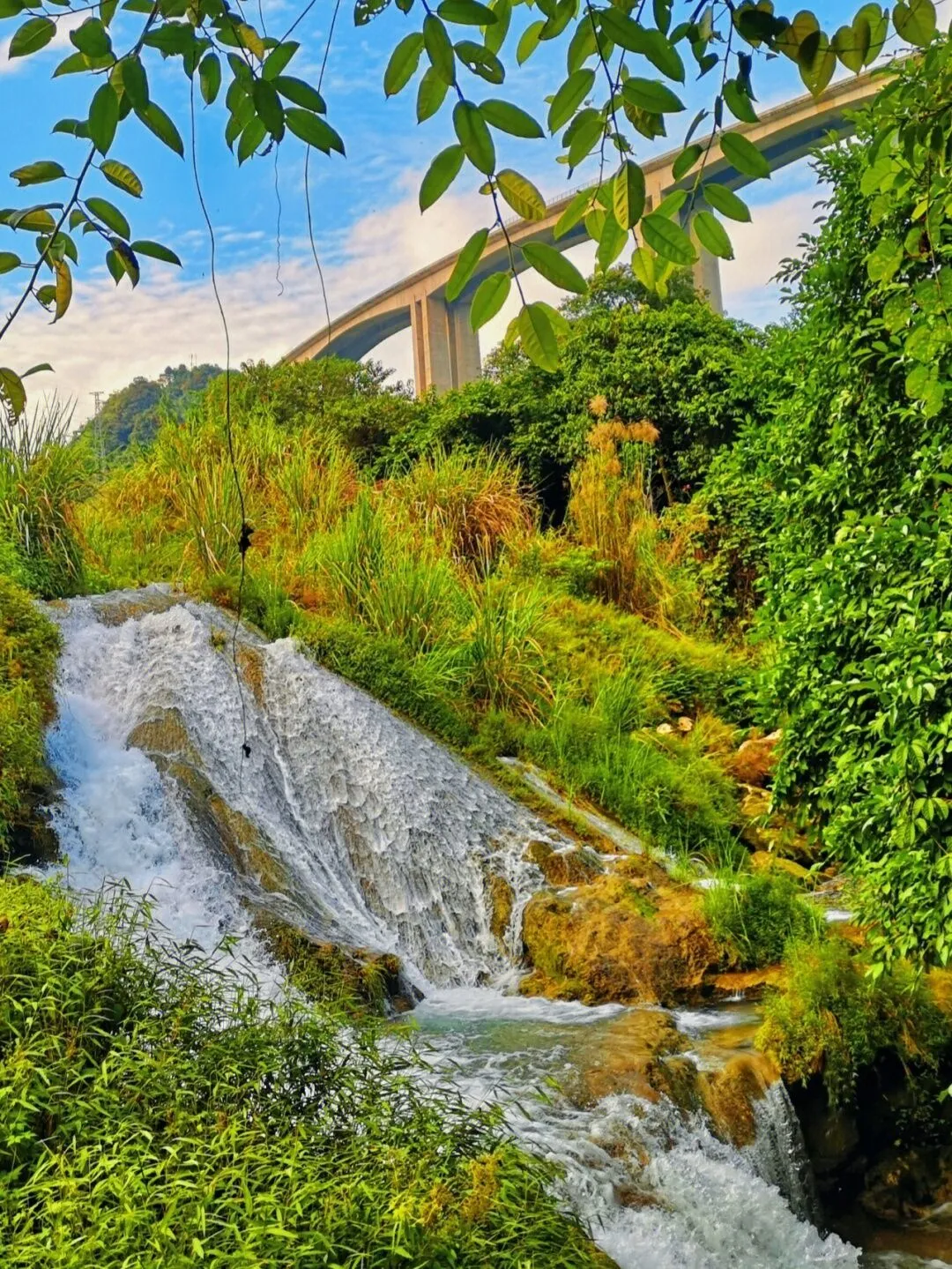 f0a88e718605e5f1403f86a6fb06993d-sz_441569