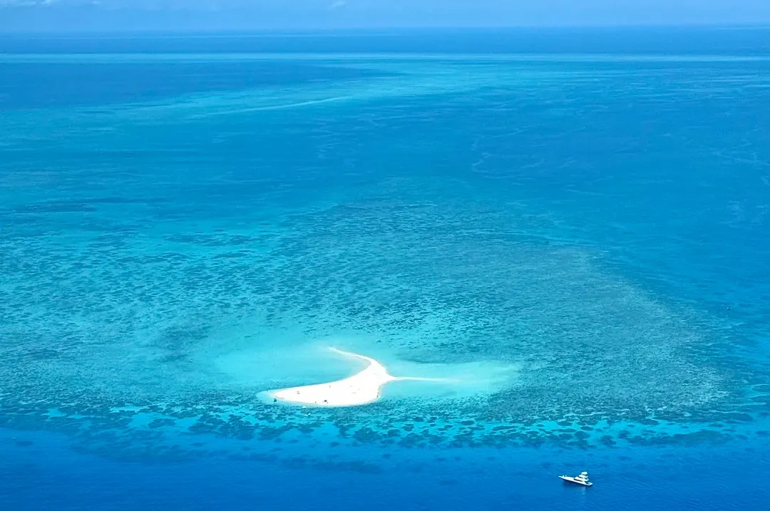 f0d1bd4a6de1c40c0afa7b9936d28608-sz_262685-1