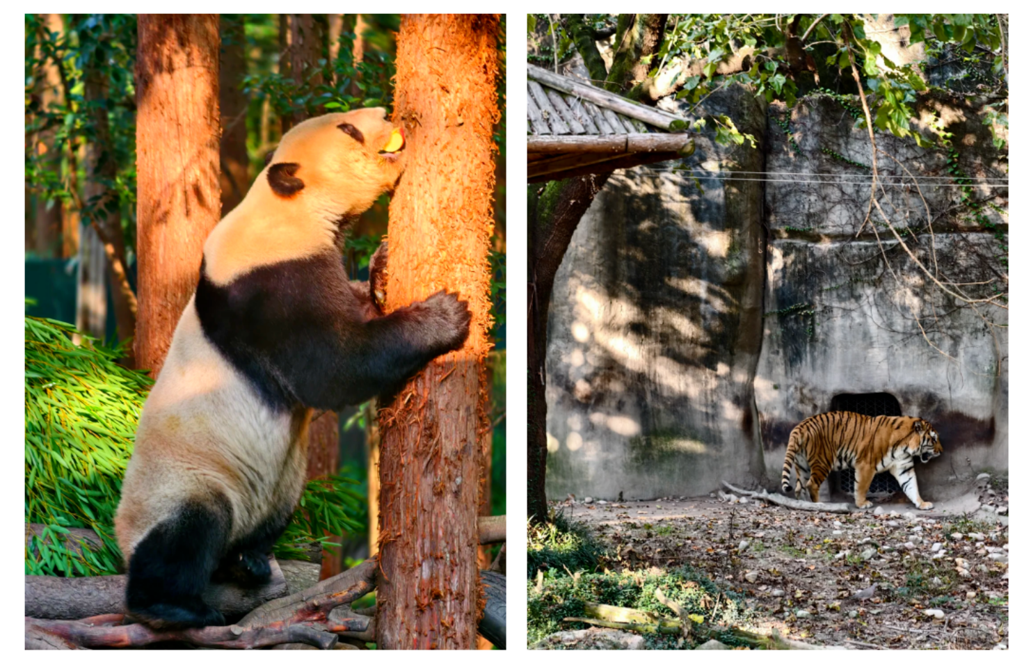 f0e1d9527796860df652065948a6e0a3