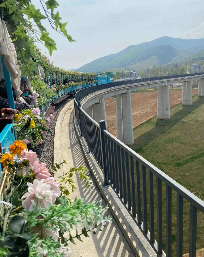 f0f8f29bca7876cd6628638bea6c539d-sz_1014035-1