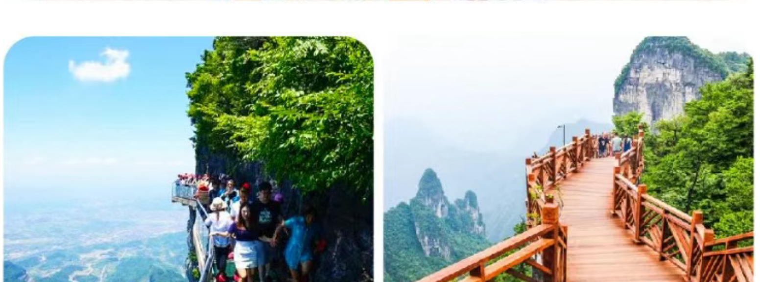 f111e8f1b65b085a8b329d7304d7f956