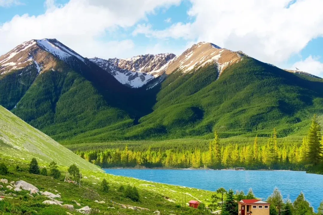 f129f7b6eb503cf3e2c9b02199635021-sz_2807630