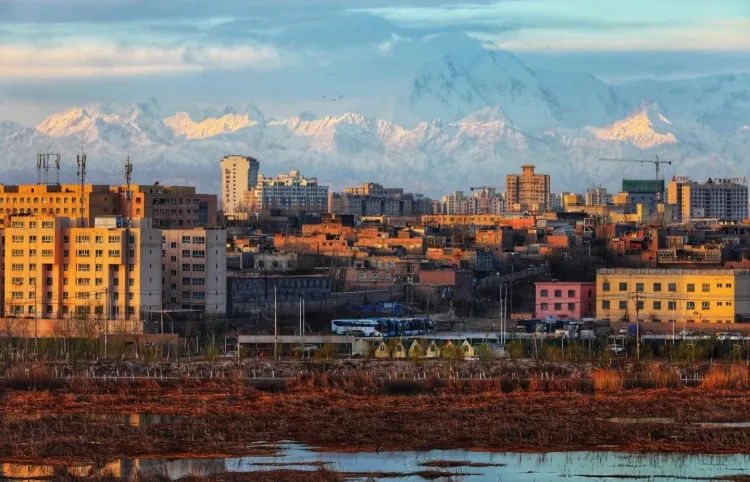 f15677984613543c88e893ff4f79c054-sz_644407