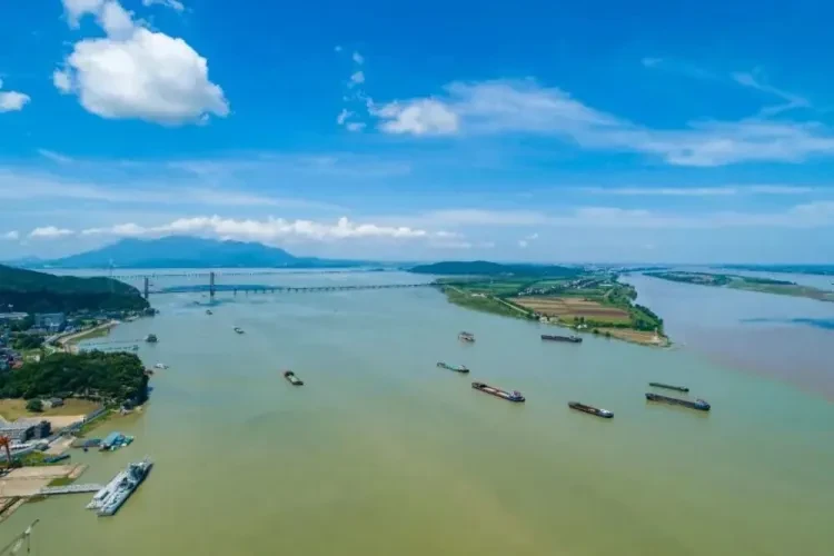 f1619d451e4a840a86f148fb1fad6fa6-sz_53269