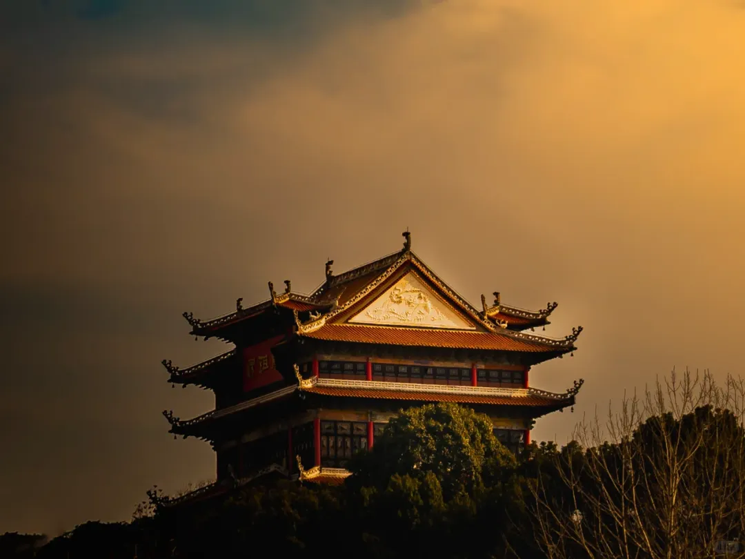 f16e17c98c5de6b7ad50c8bd6d19e332-sz_980331