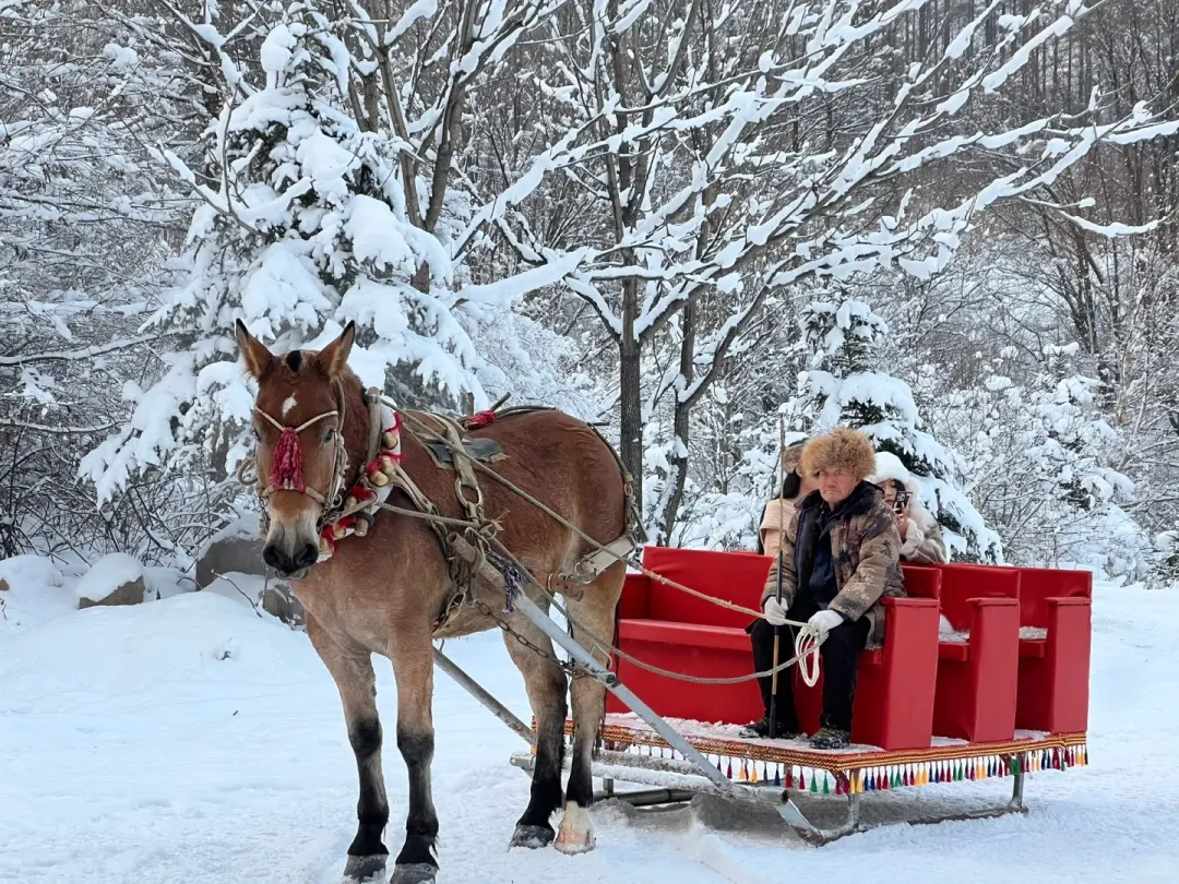 f18c1e804cd5c6197f16cbe3e7cf210b-sz_701547