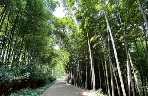 f20250da907d0a1f195d2fee2ca27f74-sz_442256 f20250da907d0a1f195d2fee2ca27f74-sz_442256