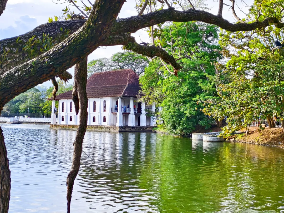 f20828b8e887e1754d4ebc3864b83394-sz_1121975